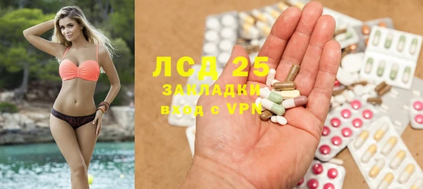 индика Армянск