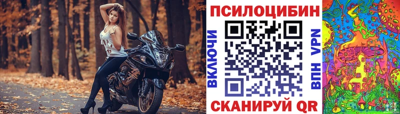 Псилоцибиновые грибы Psilocybe  где купить наркоту  MEGA как зайти  Хотьково 